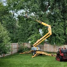 Artificial Turf Installation in Clarkston Heights Vineland, WA